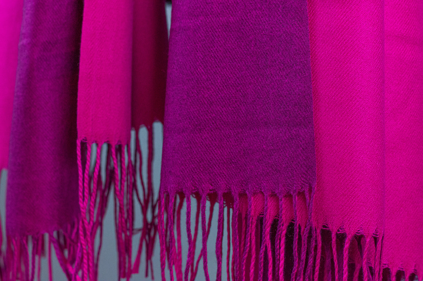 Warmy - Magenta & Light Purple